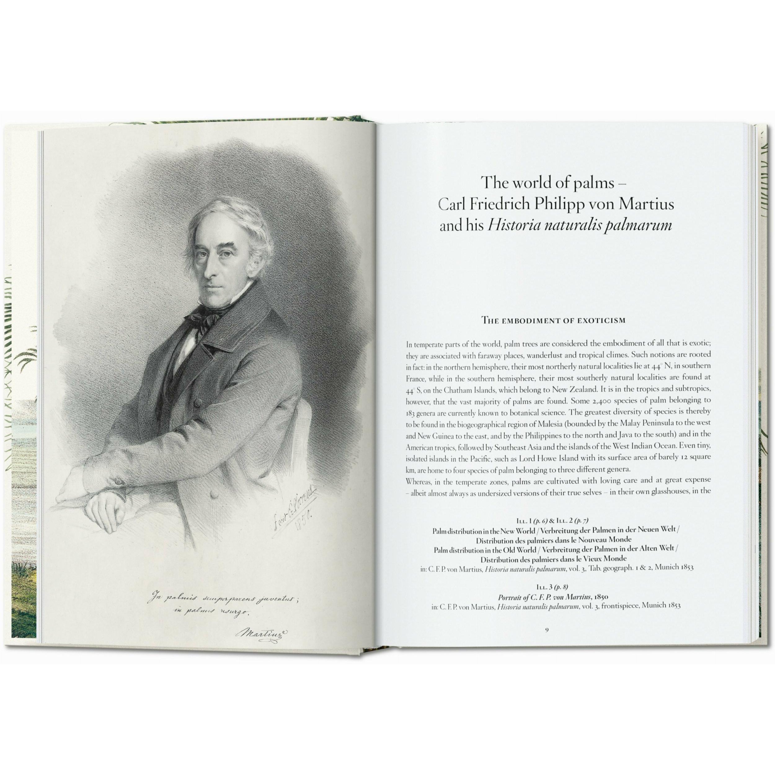 Taschen - Libro - Martius. El Libro de las Palmas