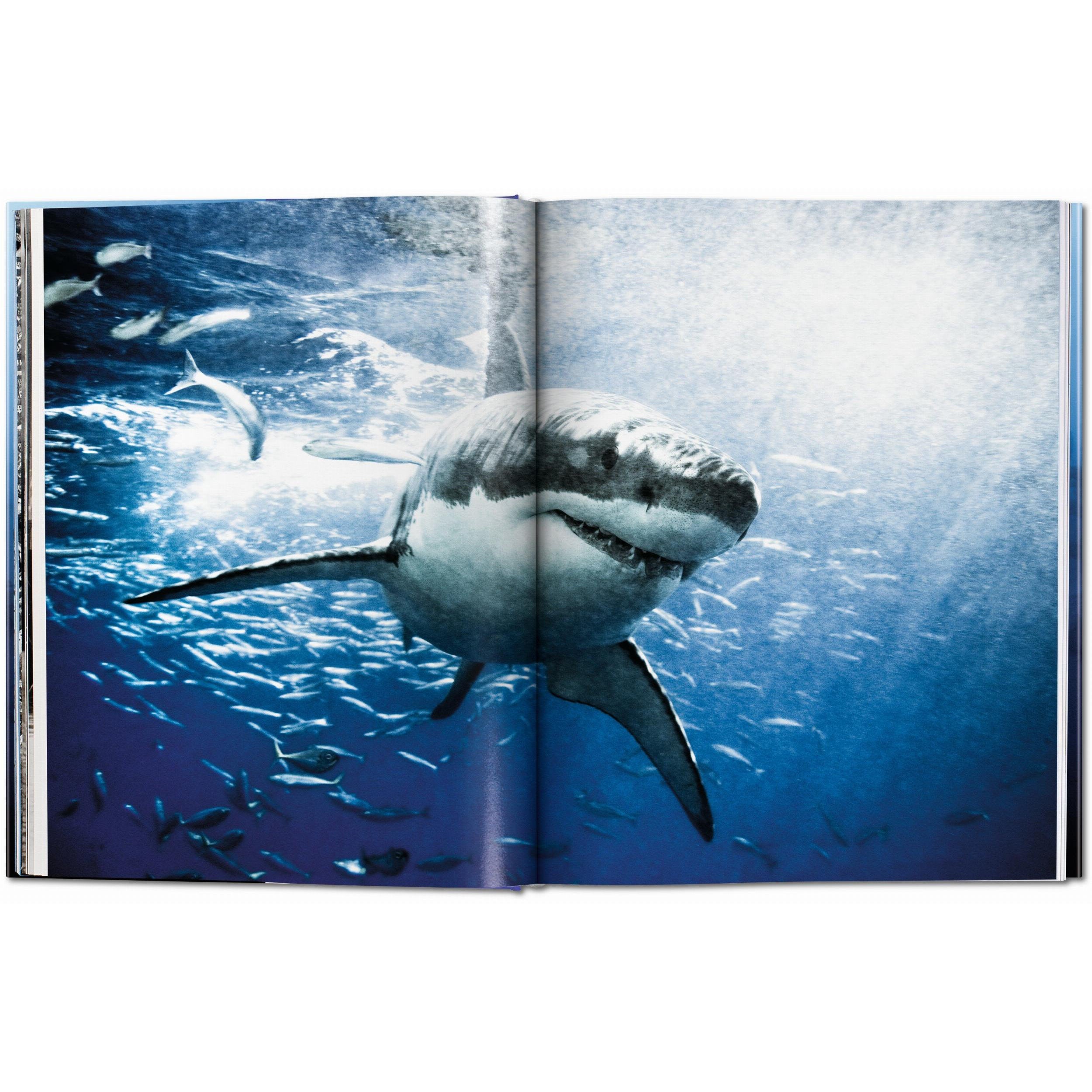 Taschen - Tiburones (Michael Muller) - Edición XL