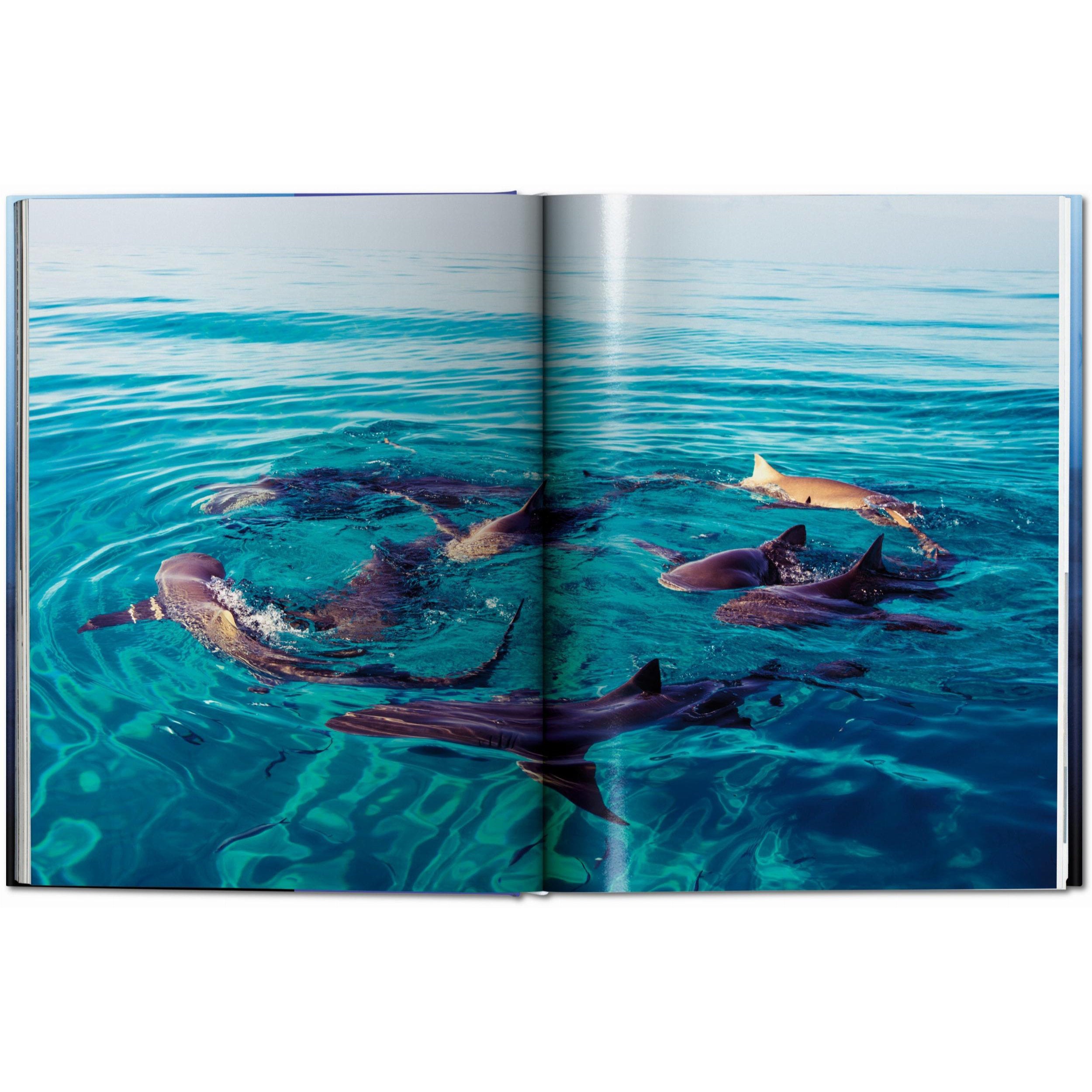 Taschen - Tiburones (Michael Muller) - Edición XL