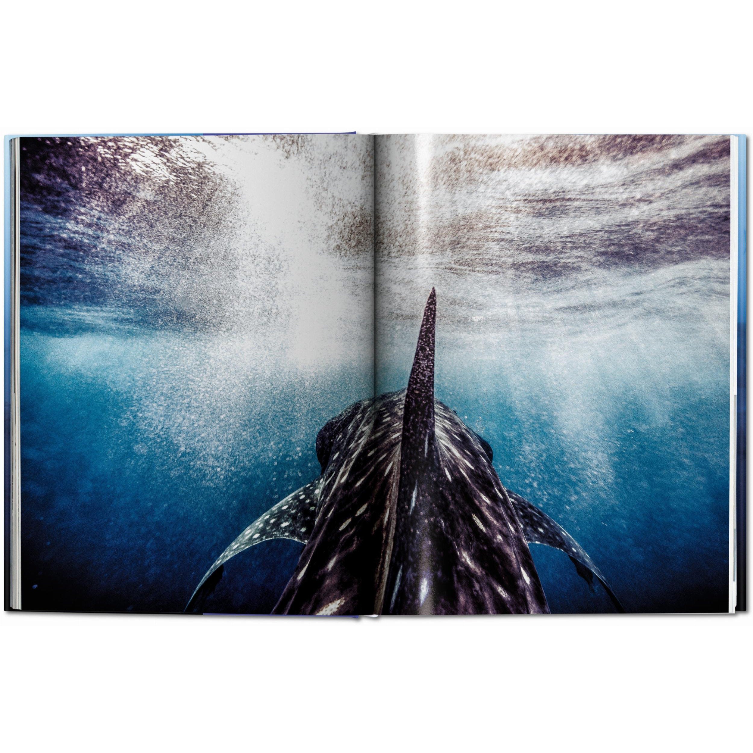 Taschen - Tiburones (Michael Muller) - Edición XL