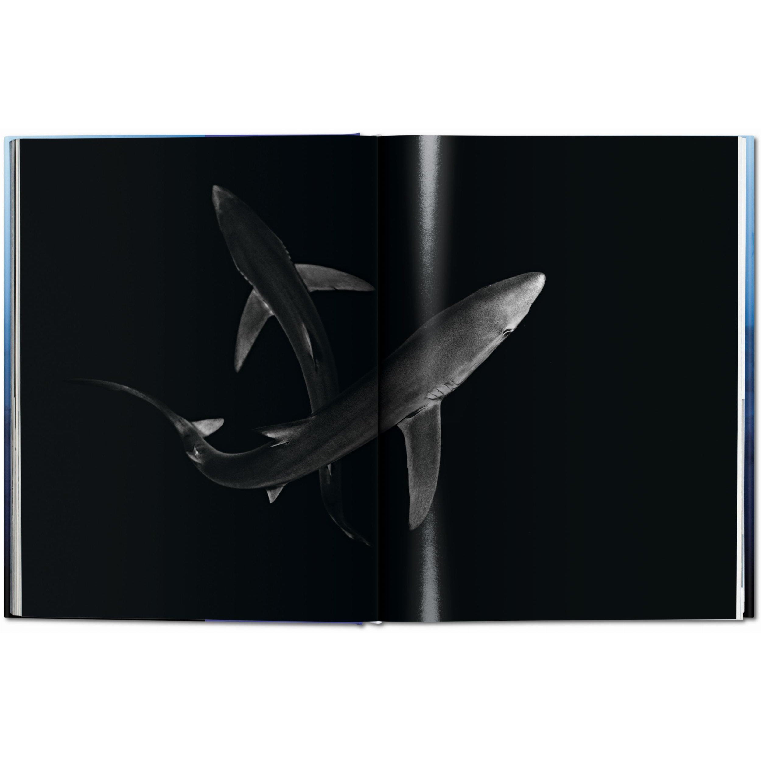 Taschen - Tiburones (Michael Muller) - Edición XL