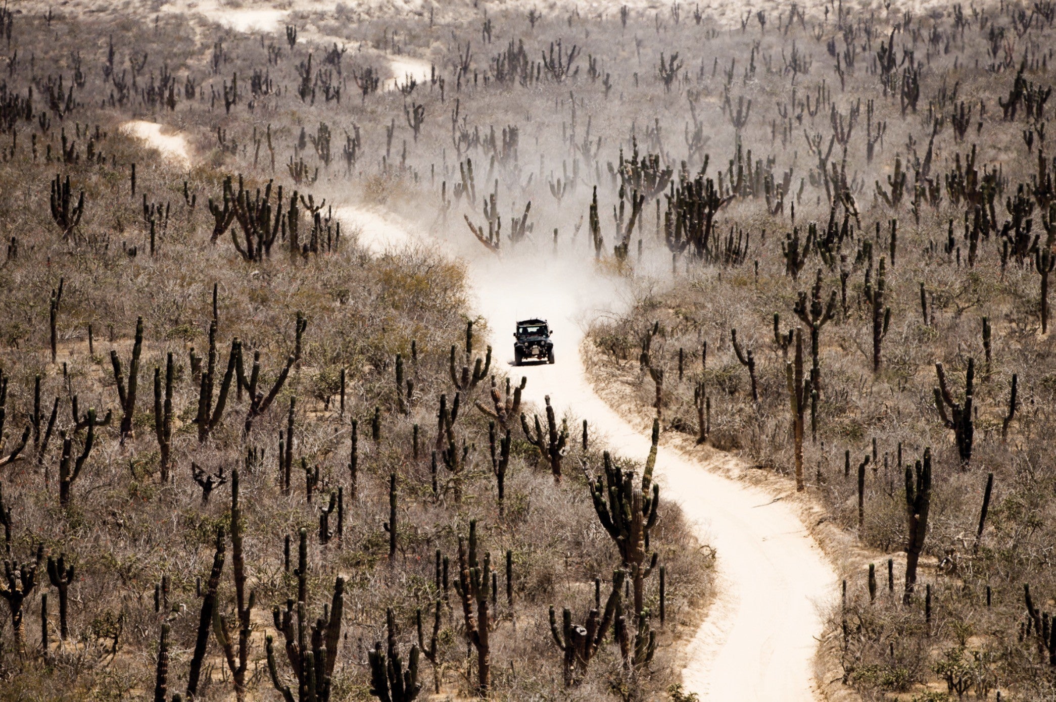 Proximity - Todd Glaser