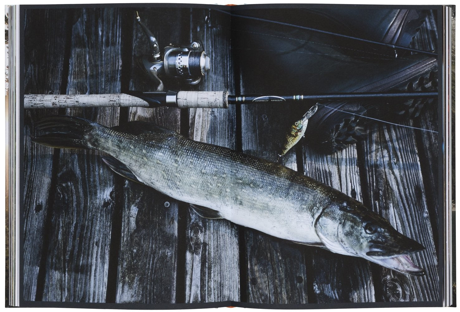 The Great Outdoors: 120 Recipes of adventure cooking