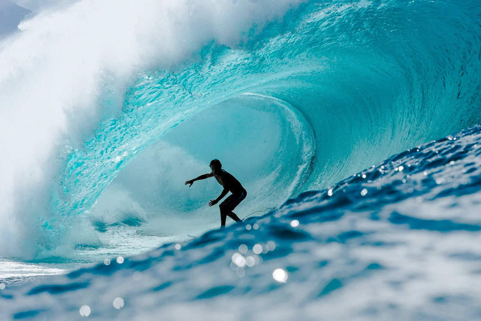 Gestalten - SurfPorn - Finest Selection