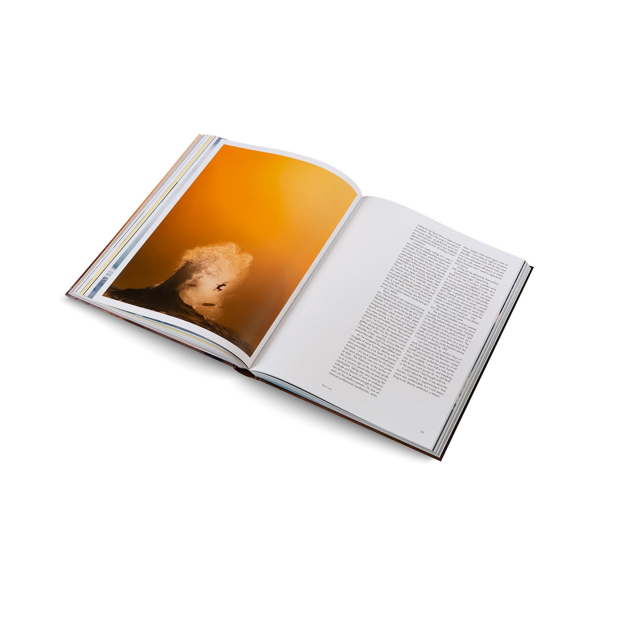 Gestalten - SurfPorn - Finest Selection