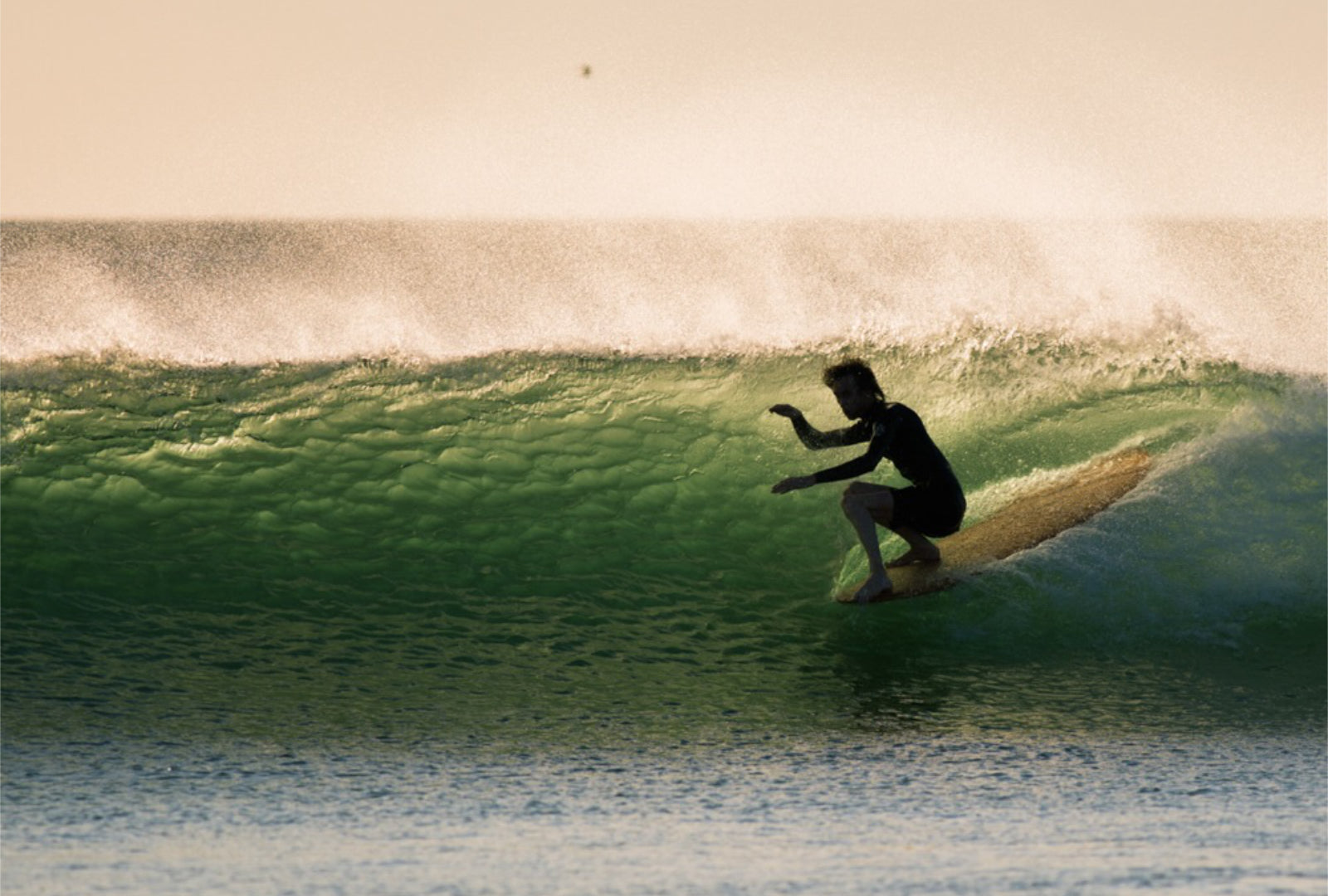 Comment choisir son longboard ?