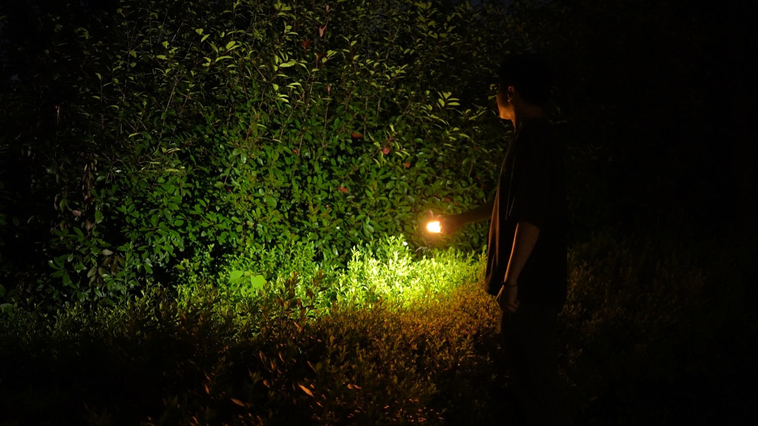 Outdoor System - Multi-function flashlight