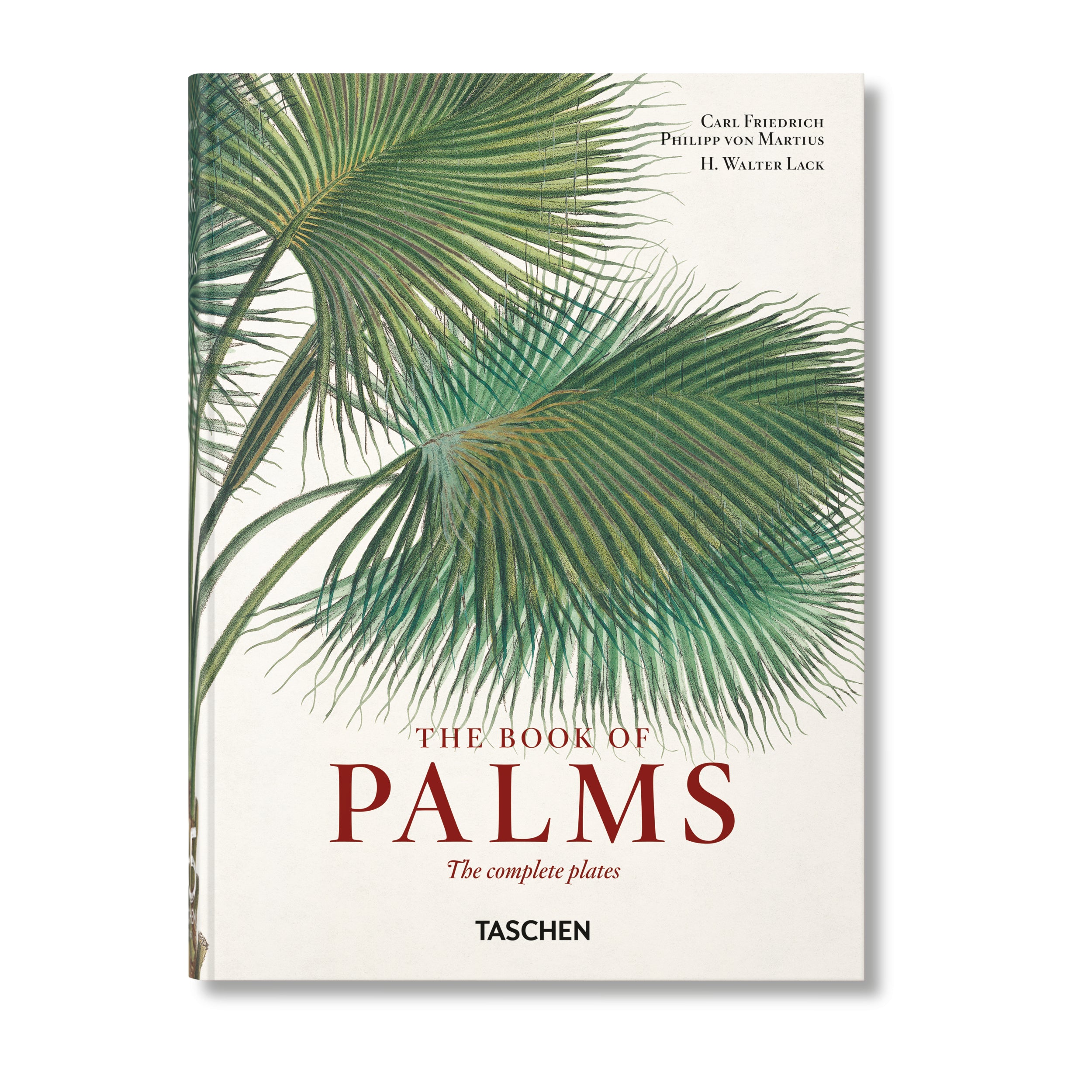 Taschen - Livre - Martius. The Book of Palms