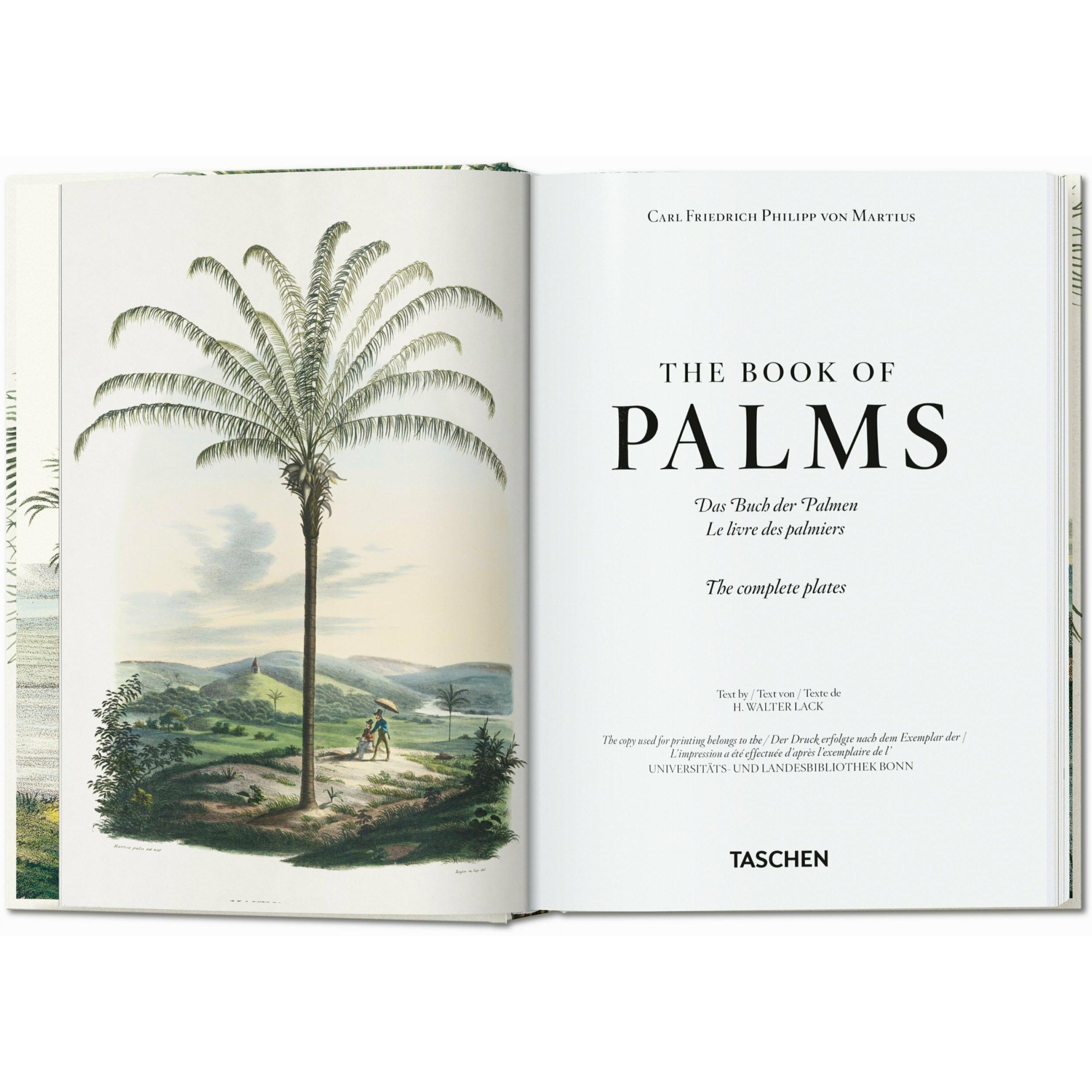 Taschen - Livre - Martius. The Book of Palms