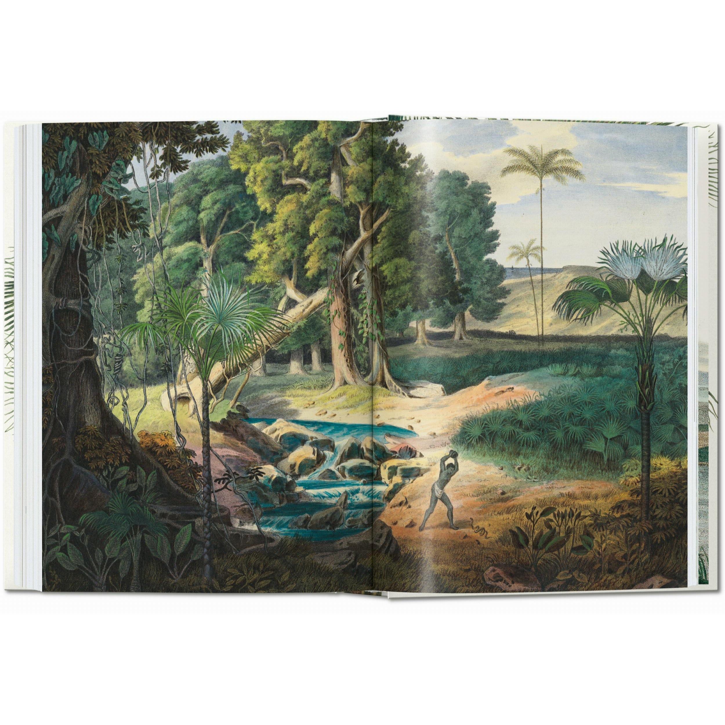 Taschen - Livre - Martius. The Book of Palms