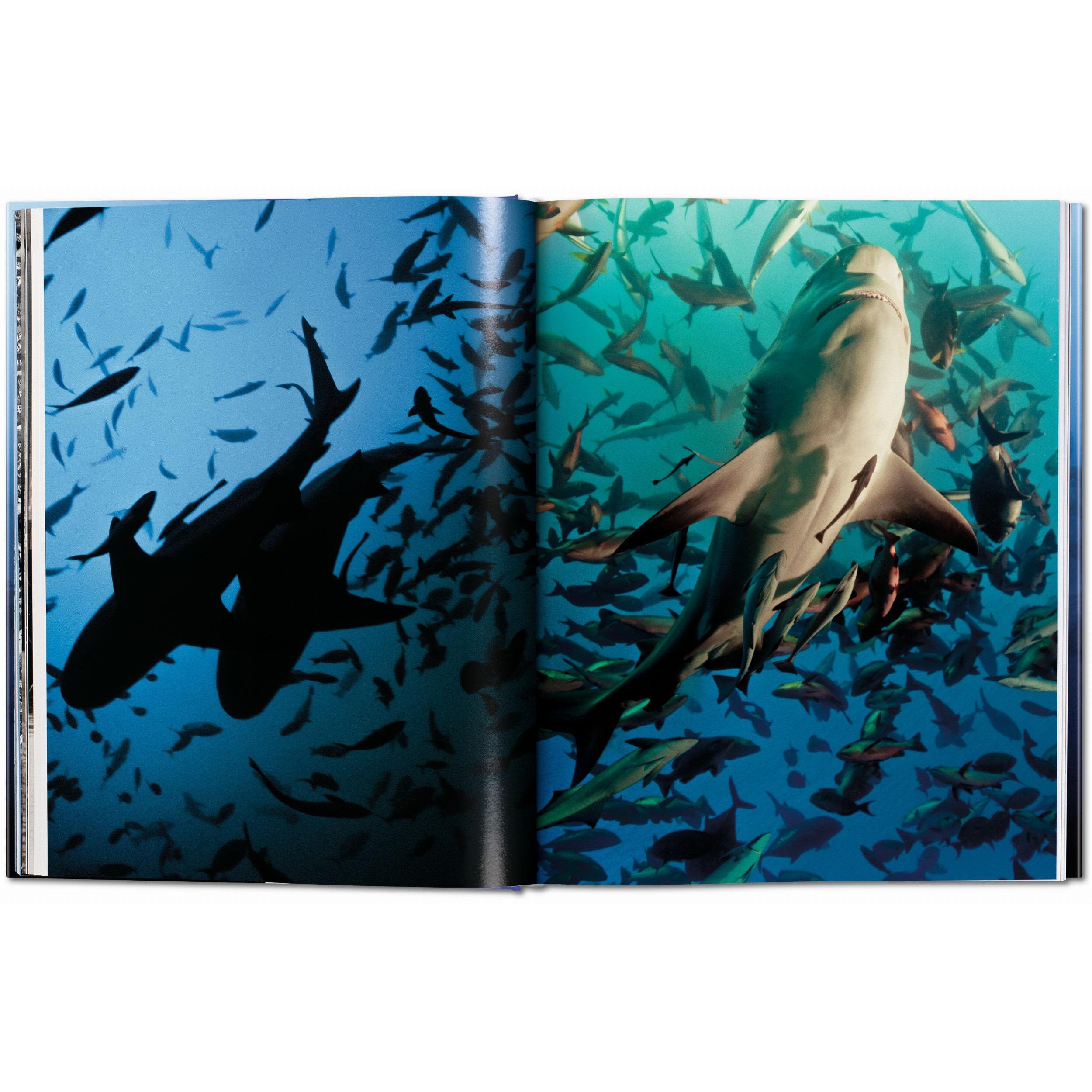 Taschen - Sharks (Michael Muller) - Edition XL