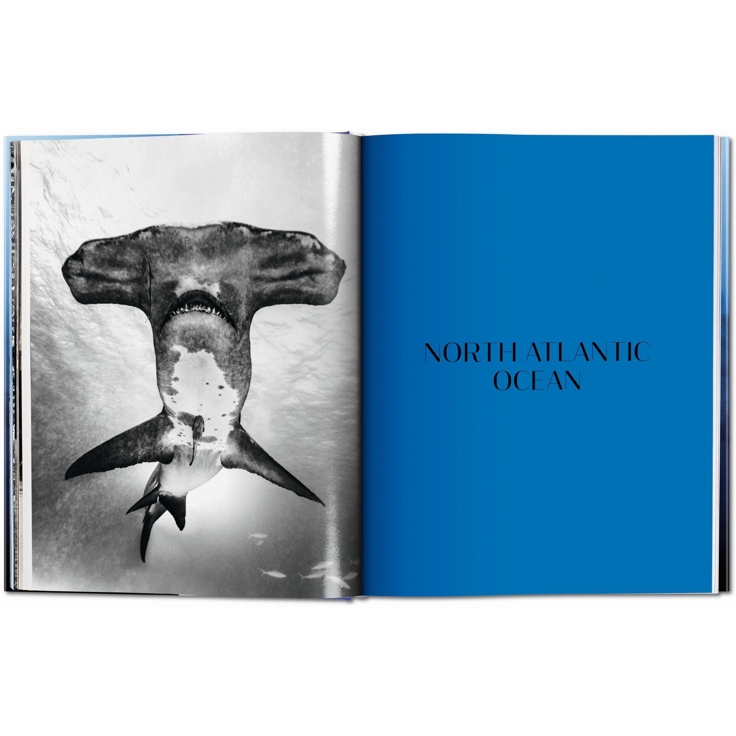 Taschen - Sharks (Michael Muller) - Edition XL
